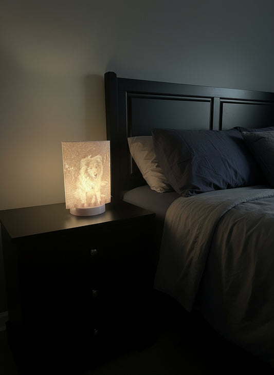 Dein Bild als weiße Lithophane – Licht trifft Erinnerung