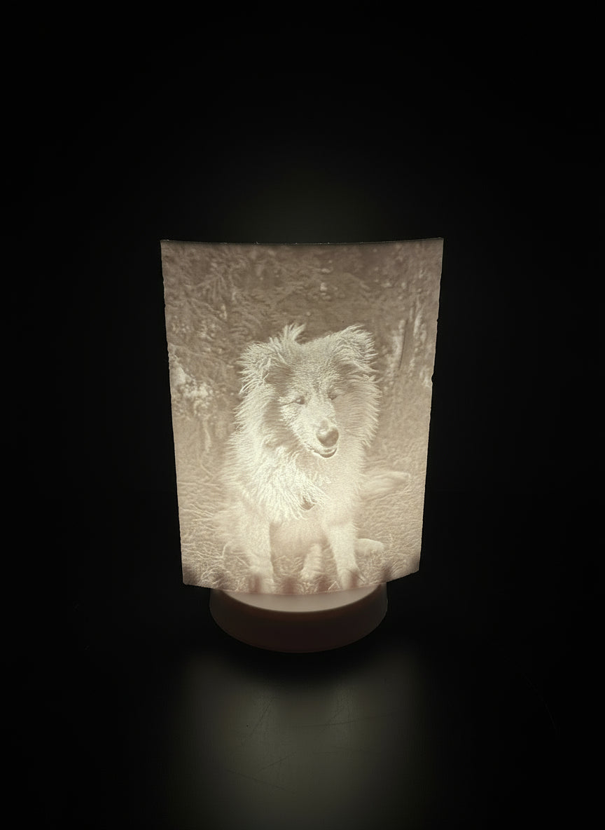 Lithophsne weiiß mit Licht