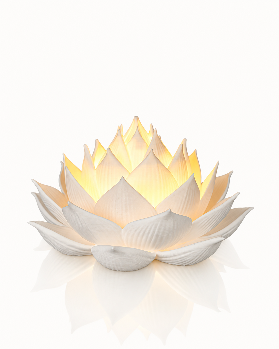 Lotuslicht – beleuchtet